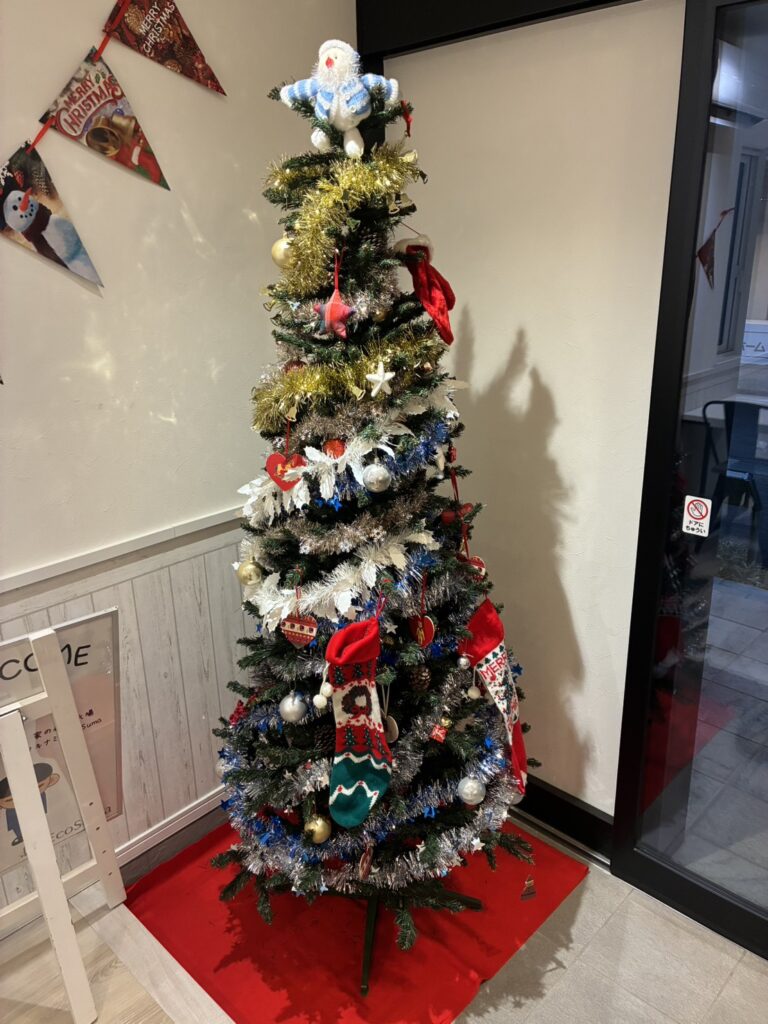 🎄家の森展示場にクリスマスツリーを設置しました！