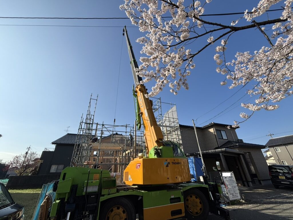 春の上棟🌸