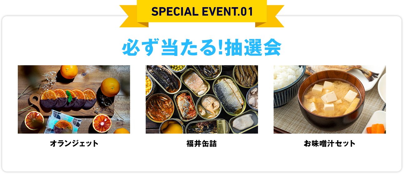 坪・間取り・デザイン別のモデルハウス3棟同時見学会